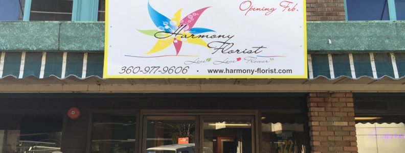 Harmony 2 web