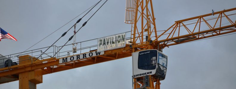 Pavillion Crane Banner web