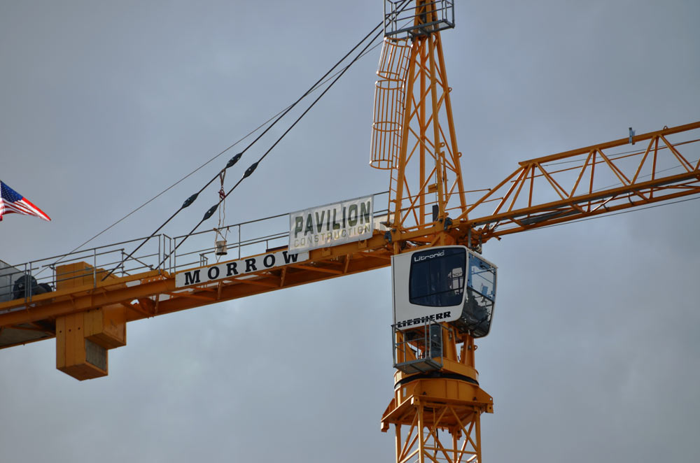 Pavillion Crane Banner web